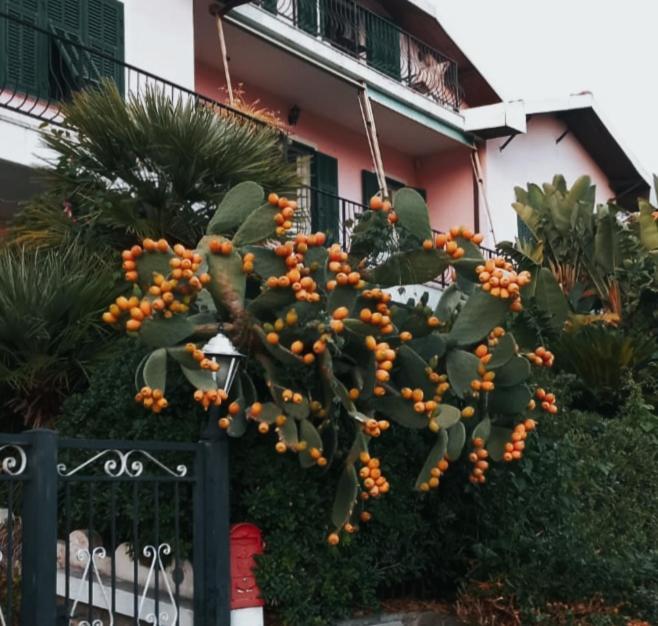 Giardino Miramare Citra Zero Zero Ottanta Trentuno Lt 0737 Apartment Империа Екстериор снимка